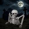 VEYLIN Decorazione a forma di scheletro di Halloween, mezzo corpo con braccia, larghezza 24,5 cm, dettagli realistici, colore: bianco
