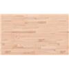 vidaXL Piano Tavolo 100x60x1,5cm Rettangolare Legno Massello Faggio