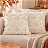 panemy Federa Copricuscino 45x45CM, Set 2 Pezzi (Acero_Beige) | Federe Copricuscini Natalizie, Copricuscino Divano, Fodere Copri Cuscini Morbide e Lavabili per Casa e Feste