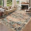 FairyStyle Tappeto a pelo basso lavabile 160x230cm del salone dell'annata | Tappeto antiscivolo per camera da letto, casa, ufficio, interni, a pelo basso, antimacchia, per sala da pranzo, terracotta