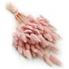 mech-mech Enchanted - Erba decorativa secca con coda di coniglio Lagurus Ovatus, erba di velluto a forma di coniglio, fiori secchi, 120 - 150 pezzi, 100 g, rosa perlato