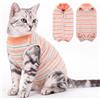 CITÉTOILE Body Gatto Postoperatorio Tuta di Recupero Antilamido Arancione M | Body Antilamido per Sterilizzazione e Ferite Addominali, Maglia Medica Traspirante, Sostituto del Collare Elisabettiano