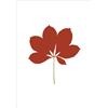 MAGIS serigrafia LEAVES - LEAVES01