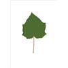 MAGIS serigrafia LEAVES - LEAVES03