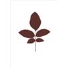 MAGIS serigrafia LEAVES - LEAVES04