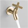 BiaoTeng Rubinetto Singolo Acqua Fredda Rubinetto a Parete Ottone da Esterno solo Acqua Fredda Oro Spazzolato
