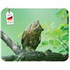 Edition Colibri Tappetino per mouse a forma di gufo, 23 x 19 cm, in gomma speciale, fondo ad alta aderenza, divertente tappetino per mouse per ufficio, home office e come regalo per gli amanti degli animali domestici