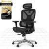 FLEXISPOT ErgoX sedia ergonomica da ufficio, braccioli 3D, poggiatesta 3D, schienale 5D regolabile, seduta traspirante, portata fino a 136 kg