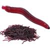 yakermur Esche da pesca, 100 pezzi, colore , al gusto di gamberetti | Esca morbida realistica da 3,5 cm, per salmone, spigola, trota, siluro in mare all'aperto