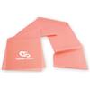 Coresteady Elastici Fitness - Elastico Fitness Pilates - Fasce Elastiche Fitness Fisioterapia e Yoga - Elastici Palestra per Forza - Set Elastici Fitness con e-Guide Gratuita