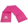 Coresteady Elastici Fitness - 5 Livelli di Resistenza per Elastico Fitness - Fasce Fisioterapia e Yoga - Palestra per Forza con Guida Gratuita