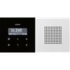 Gira 2280112 Radio RDS da incasso con altoparlante Piano di comando in vetro nero Interruttore di superficie bianco puro lucido