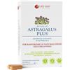 LAO DAN Srl ASTRAGALUS Plus 60 Cpr