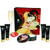 SHUNGA KITS Kit Erotico da Massaggio Shunga Geisha Secrets — Fragole e Cava