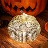 hvfun Zucca in vetro mercurio che si illumina con timer, decorazione autunnale per la casa, lampade per decorazioni festive, decorazione a zucca del Ringraziamento (argento)