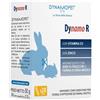 Dynamo r 20 stick da 2,5 g - - 990039529