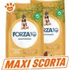 Forza10 Dog Maintenance Medium/Maxi Puppy Pollo e Patate - MAXI SCORTA - Sacco da 12 Kg - 5 confezioni