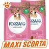 Forza10 Dog Maintenance Adult All Size con Maiale - MAXI SCORTA - Sacco da 12 Kg - 5 confezioni