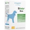 DYNAMOPET SRL Disenior medium 20 stick da 10 g