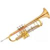 Alysée TR-4333 TRUMPET Tromba Scolastica Sib laccata x studenti e principianti