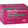 NBF LANES VET RIBES PET RECOVERY 60PRL