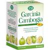 ESI Srl GARCINIA CAMBOGIA 1000MG 60CPR