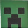 Luce notturna Creeper di Minecraft