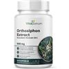 VitaSanum® Estratto di Ortosifon 10:1 90 pz Capsule
