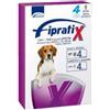 FORMEVET FIPRATIX CANE - taglia da 10 a 20 4 Pc Pipette monodose