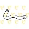UNIGOM S2440 Flessibile radiatore inferiore Compatibilità con FIAT Panda Hatchback 141