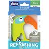 Chicco Massaggia Fresh Funny 6m+ 1 pz Altro