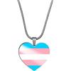 PAURO Unisex Acciaio Inossidabile Collana Personalizzata con Ciondolo a Forma di Cuore Orgoglio Arcobaleno LGBT per Gay e Lesbiche