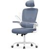 rattantree Sedia Ufficio Ergonomica:Bracciolo Ribaltabile di90°,Blu-Grigio | Poltrona Ufficio Con Supporto Lombare a C, Schienale E Poggiatesta Regolabili, Sedile Rete Traspirante per L'ufficio Di Casa