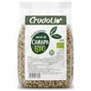 CRUDOLIO - Semi di Canapa BIO, Ideale Per le Insalate, 200 g