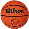 Wilson Basketball, Indoor and Outdoor