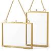 QWORK® 2 pezzi cornice dorata in vetro con catena di metallo per appenderla, clip per campioni di piante, per foto, campioni di piante, certificati, 5x10cm