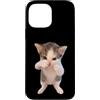 Funny Silly Cat Memes by The Meme Factor Custodia per iPhone 13 Pro Max Divertente Scuba Cat Meme