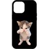Funny Silly Cat Memes by The Meme Factor Custodia per iPhone 12 Pro Max Divertente Scuba Cat Meme