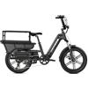 Aeexyz HOVSCO HovCart - Bicicletta elettrica con sensore di coppia, 20 | Telaio in alluminio, batteria sostitutiva da 48 V/15 Ah, 250 W, cambio Shimano a 7 velocità e freni a disco idraulici