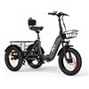 PVY F20 - Triciclo elettrico per adulti, 20 x 4 pollici, per uomo e donna, con batteria da 48 V e 21 Ah, 3 ruote 80 N.m, IPX5, 150 kg