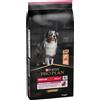 PRO PLAN Purina Pro Plan Medium Adult Sensitive Skin Ricco In Salmone (14 kg)