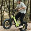 Bodywel F20Pro Bici Elettrica Pieghevole con Pneumatici Larghi 20"x4.0", Batteria 48V 20Ah, Motore Bafang 250W, 7 Velocità, Freni a Disco Idraulici, Bici Elettrica per Tutti i Terreni