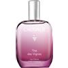 Caudalie Thé des Vignes Acqua Fresca Profumata Corpo Muschio Bianco, Neroli e Zenzero 50 ml
