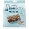 Bombus Raw Energy Minis 10x15 g