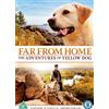 20th Century Studios Far From Home - The Adventures Of Yellow Dog (DVD) Mimi Rogers Bruce Davison