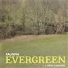 Calcutta Evergreen... E Altre Canzoni (CD)