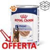 Royal Canin SHN Dog Maxi Ageing 5+ - Lattina Da 410 Gr - CONFEZIONE RISPARMIO