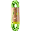 Edelrid - Cordino da arrampicata - Rap Line Protect Eco Dry 6,0Mm II Oasis in Pelle - Taglia 50 m - Verde