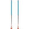 Les batons d'Alain - Bastoncini da sci alpinismo - Azur - Taglia 115 cm - Blu