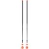 Les batons d'Alain - Bastoncini da sci alpinismo - Eléphant - Taglia 125 cm - Grigio